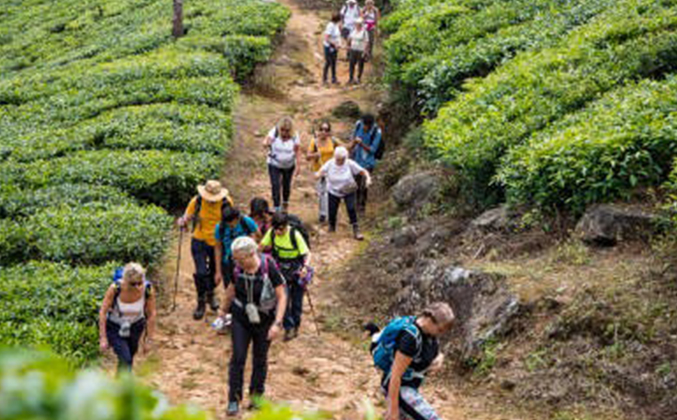 Package Thumbnail Image