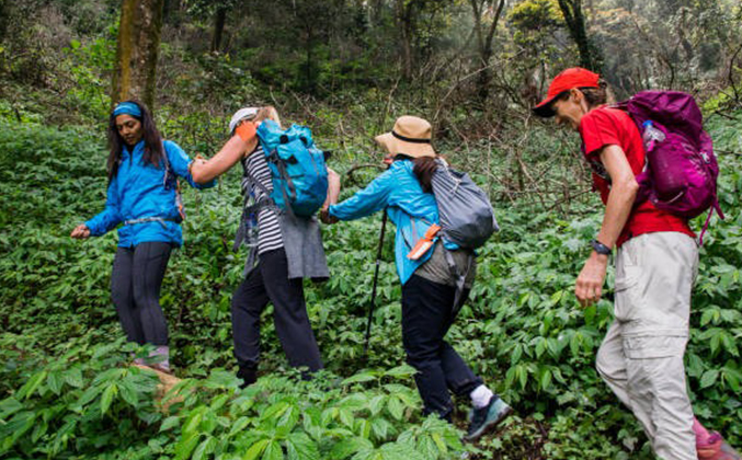 Package Thumbnail Image