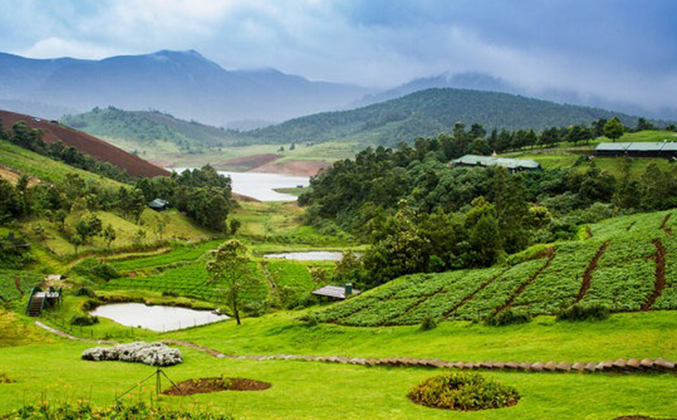 Package Thumbnail Image